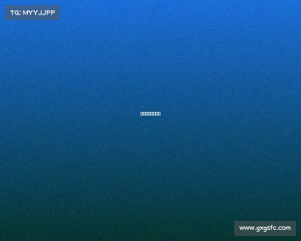 国际体育赛事公司