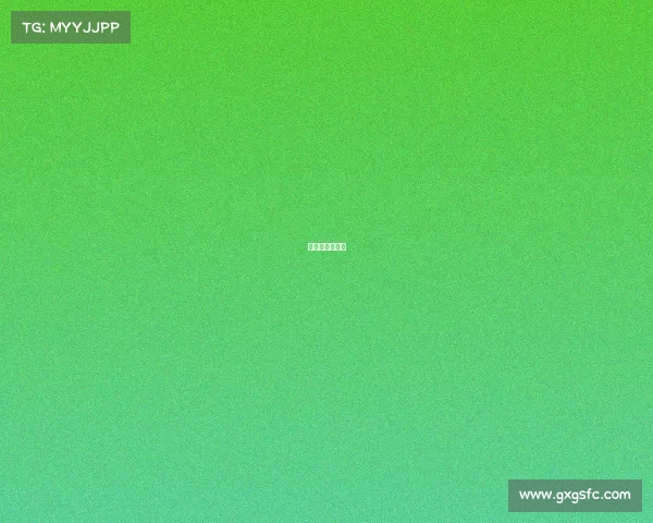 武林风比赛结果