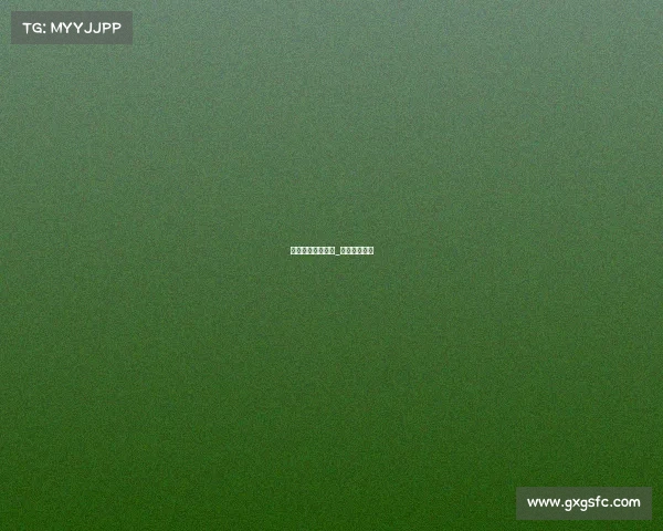 网球国际重大赛事_网球世界比赛